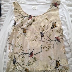 Anthropology velvet top